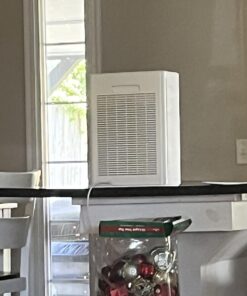 Air Purifiers for Home Large Room up to 1740sq.ft, H13 True Hepa Air Purifiers for Pets Hair, Dander, Smoke, Pollen, 3 Fan Speeds, 5 Timer Air Cleaner 25 71KDW DTQ3L