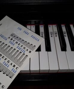 QMG Piano Stickers for 49/61/ 76/88 Key Keyboards – Transparent and Removable; Made in USA Sticker 38 71KDWJQRGtL