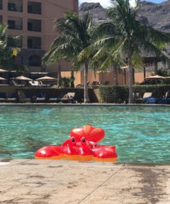 Intex Lobster Ride-On 20 71KFrr0VQML