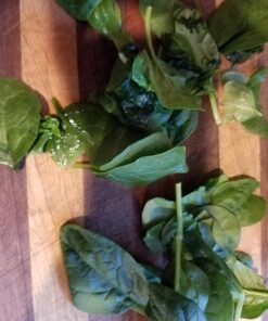 FRESHPAPER Keeps Fruits & Vegetables Fresh for 2-4x Longer, 8 Reusable Food Saver Sheets for Produce (1 Pack), Made in the USA by The FRESHGLOW Co 32 71KGgZXkT3L