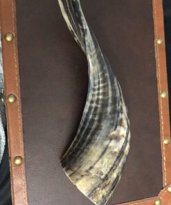 Alternative view of Shofar Kosher Ram Horn 8-9"