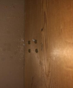 Partsam 440Lbs Lift Electric Hoist Crane Remote Control Power System, 110V Electric Hoist Zinc-Plated Steel Wire Overhead Crane Garage Ceiling Pulley Winch w/Straps (w/Emergency Stop Switch) 53 71KJHFvgaiL