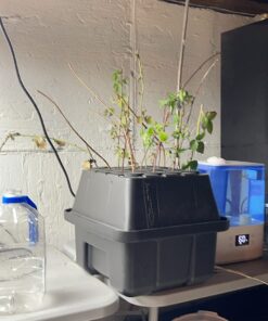 BN-LINK Short Period Repeat Cycle Intermittent Timer, Interval Timer - Day, Night, or 24 Hour Operation, Photocell Light Sensor Dusk to Dawn for Hydroponics Aquaponics Aeroponics 4.3 in * 2.3 in* 2.1 in 32 71KNDrBOMlL