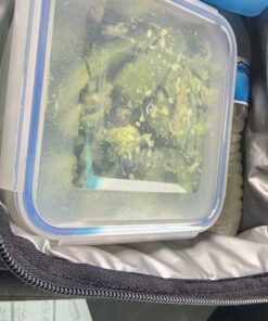 Popit! 8 Clear Food Storage Containers Set, Microwave and Freezer Safe, Little Big Box 37 71KPafLmBkL