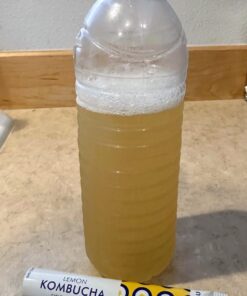 KOMBUCHA Lemon Kombucha Tea, 30 sticks x 5 grams, Zero Sugar, Sparkling Fermented Powdered Mix, Live Probiotics & Prebiotics, Healthy Drinks, Product of Korea 79 71KYGx0ed7L