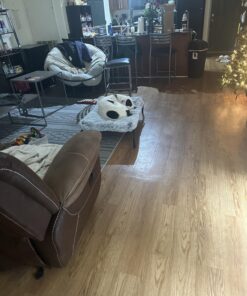 COOLAROO The Original Cooling Elevated Dog Bed, Indoor and Outdoor, Medium, Grey 42.0"L x 25.5"W x 8.0"Th 26 71KYZuAupaL