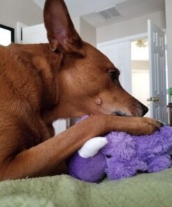 KONG - Cozie™ Rosie Rhino - Indoor Cuddle Squeaky Plush Dog Toy - For Medium Dogs 37 71KZSjlpZlL