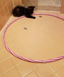 HEXBUG nano Nitro 5 Pack - Sensory Vibration Toys for Kids and Cats - Tiny HEX BUG Children’s Toy Technology with Batteries Included - Multicolor 25 71KZV970ILL