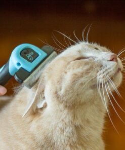 Pet Grooming Dog & Cat Brush For Shedding, Effective for Long & Short Hair Pet Grooming Tool, Reduces Dogs and Cats Shedding Hair By More Than 95%, The Professional Deshedding Tool 26 71Kb8ieQJNL