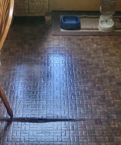 Rejuvenate All Floors Restorer and Polish Fills in Scratches Protects & Restores Shine No Sanding Required (32 oz) 32 Fl Oz (Pack of 1) 1 Pack 27 71KboICvYkL