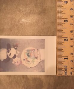 Fujifilm Instax Mini Instant Film (3 Twin Packs, 60 Total Pictures) - International Version 61 71KckOJw8NL