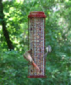 Perky-Pet 102 4 lb Squirrel Resistant Easy Feeder 22 71KdAovDzOL