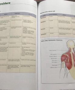 New Anatomy for Strength & Fitness Training: An Illustrated Guide to Your Muscles in Action Including Exercises Used in CrossFit (R), P90X (R), and Other Popular Fitness Programs (IMM Lifestyle Books) Paperback 10 71KdZxvzI L