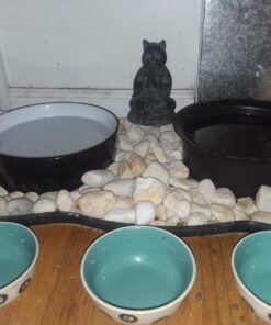 Pacific Trading Cat Buddha Meditating Statue Eastern Enlightenment Masterpiece 21 71Ke 2yWuyL