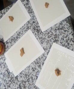 Tomcat Glue Boards (Captures Mice and Other Household Pests, Eugenol Formula, 4-Pack) 33 71Kg ooS9fL