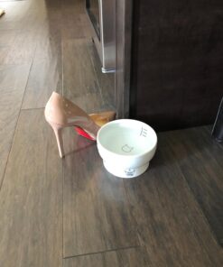 Necoichi Raised Cat Water Bowl, Elevated, with Measurement Lines, Dishwasher and Microwave Safe (Cat, Regular) 53 71KjXk U1vL