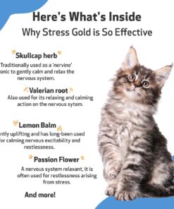 Pet Wellbeing Stress Gold for Cats - Vet-Formulated - Calming and Relaxing for High-Stress Situations - Natural Herbal Supplement 2 oz (59 ml) 11 71KkmpAKR0L