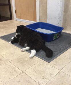 Iprimio Cat Litter Box Mat, 42x36", Gray - Cat Litter Trapping Mat - Mesh Mat Catches Litter - Kitty Litter Mat - Large Cat Litter Mat - Repels Odor, Easy Clean Non Slip Kitty Litter Trapper Mats 42x36 - Gray 26 71KlkvwENxL