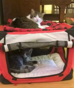 PetLuv-Happy Cat Premium Cat Carrier Soft Sided Foldable Top & Side Loading Pet Crate & Carrier Locking Zippers Shoulder Straps Seat Belt Lock Plush Pillow 24.0"L x 16.0"W x 16.0"H Navy Blue 35 71KmDMBjrqL