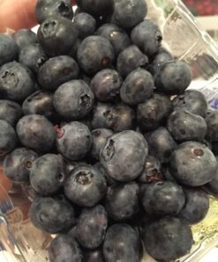 Bluapple 100-201 2 Count Bluapple Freshness Balls 20 71KmNlIYM L