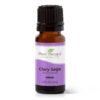 Plant Therapy Clary Sage Essential Oil 100% Pure, Undiluted, Natural Aromatherapy, Therapeutic Grade 10 mL (1/3 oz) 0.33 Fl Oz (Pack of 1) 17 71KnHZ up9L