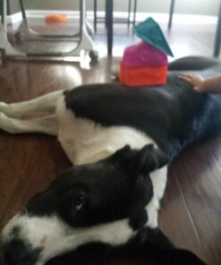 B. toys- Alphabetical Sort & Stack Developmental Baby Blocks- 26 soft blocks for kids & babys- Elemenosqueeze- 6 months + Baby Blocks Set 1 41 71KnRf9qdhL