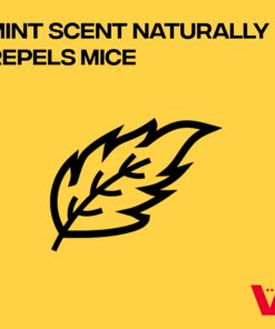 Victor M805 Scent-Away Natural Rodent Repeller – Peppermint Oil Mouse and Rat Repellent – 5 High-Strength Rodent Repelling Sachets Included 1 Pack - 5 Sachets 17 71Ko2e2RlcL