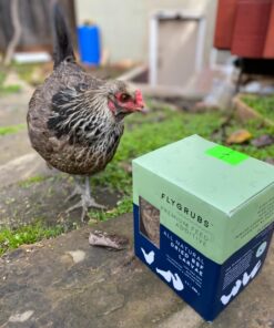 FLYGRUBS Superior to Dried Mealworms for Chickens (1lb) - 85X More Calcium Than Live mealworms - Non-GMO Chicken Feed - BSFL Treats for Hens, Ducks, Turkeys, Wild Birds, Turtles, Quails 1 Pound 27 71Kpq8yB6iL