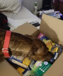 Purina Busy With Beggin' Made in USA Facilities Small/Medium Breed Dog Treats, Twist'd - 10 ct. Pouch Bacon 38 71Kr0H62MxL