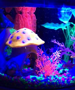 GloFish Aquarium Fish Tank Kits, Includes Fish Tank Decorations and LED Lighting, Tetra Filter and Water Conditioner 5-gallon crescent kit 32 71KsUvkqZuL