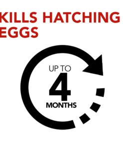 Raid Flea Killer Carpet & Room Spray, Kills hatching eggs for up to 4 months, 16 Oz 12 71KsZiroA5L