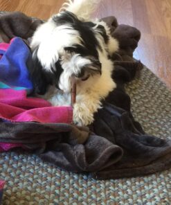 Best Bully Sticks 6 Inch All-Natural USA-Baked Bully Sticks for Dogs - 6” Fully Digestible, 100% Grass-Fed Beef, Grain and Rawhide Free | 18 Pack USA 6 Inch Bully Sticks (18 Pack) 41 71KsskFrQUL