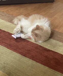 Fashion's Talk Cat Toys Variety Pack for Kitty 20 Pieces 34 71Kt6iJrRQL