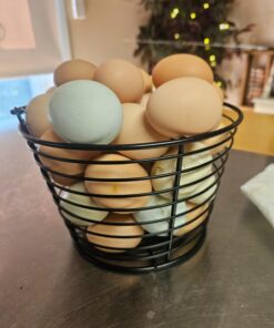 Little Giant® Small Egg Basket | Basket for Carrying and Collecting Chicken Eggs | Wire Egg Basket | Egg Collecting Basket 18 71Kta6YJHeL