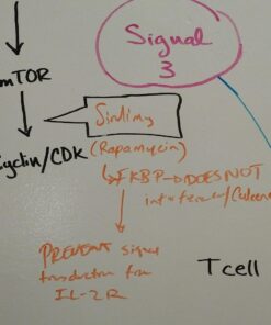 EXPO Dry Erase Whiteboard Cleaning Spray, 8 oz. 8 Ounce 31 71Kto7fQnL