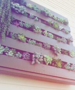 Dried Moss Table Runner 16 71KtqTMrywL