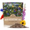 Deer Resistant Wildflower Seed Mixture - Bulk 1 Ounce Packet - Over 15,000 Deer Tolerant Seeds - Open Pollinated and Non GMO