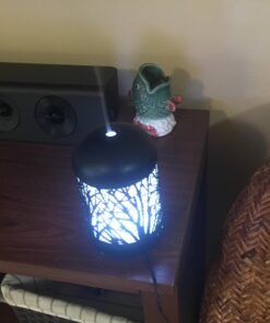 Health Shield Blend Essential Oil - 100% Pure Therapeutic Grade Health Shield Blend Oil - 10ml 0.33 Fl Oz (Pack of 1) 27 71KxR6vPDqL