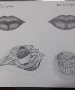 Tombow 51523 MONO Drawing Pencil Set, Assorted Degrees, 12-Pack. Professional Quality Graphite Pencil Set with Eraser and Sharpener 40 71Ky0RKdPfL