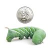 12ct Hornworms by DBDPet | Live Arrival is Guaranteed | Max Food (4" Growth)