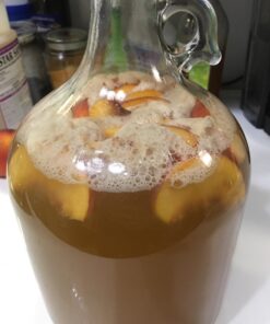 FastRack 1 gal Glass Wine Fermenter, INCLUDES Rubber Stopper and Twin Bubble Airlock, Multicolor 1 Count (Pack of 1) 29 71KzKKMbo9L