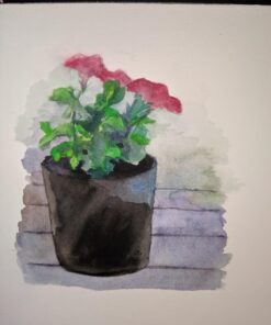 Paul Rubens Watercolor Paper Block, Artist Quality Hot Pressed Paper for Watercolors and Wet Media Block, 100 Percent Cotton, 10.63 x 7.68 inches, 140lb, 20 Sheets (Pink) Pink Cover-Block 10.63" x 7.68" 41 71Kzxol0ALL