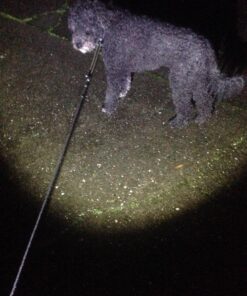 EcoGear FX Complete LED Tactical Flashlight Kit TK120 Flashlight with Rechargeable Battery: High Lumens with 5 Light Modes, Water Resistant, Adjustable Focus Zoom 87 71L j6Zj9iL