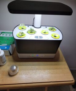 AeroGarden Salsa Garden Seed Pod Kit, 7 37 71L0FvItV9L