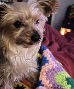 MRS. MEYER'S CLEAN DAY Tub and Tile Cleaner, Lavender, 33 Fluid Ounce 33 Fl Oz (Pack of 1) 17 71L0TfrdwcL 1