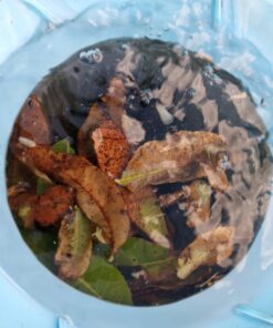 Intex Deluxe Wall Mount Surface Skimmer 38 71L1Alq4 dL