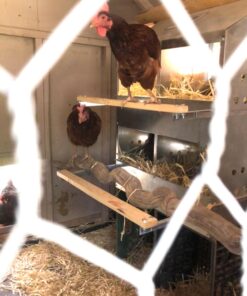 Brower 404B 4-Hole Poultry Nest 13 71LAOpEdcnL