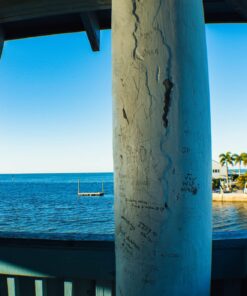 52MM 0.43x Altura Photo Professional HD Wide Angle Lens (w/Macro Portion) for Nikon D7100 D7000 D5500 D5300 D5200 D5100 D3300 D3200 D3100 D3000 DSLR Cameras 52MM 62 71LBsi1alXL