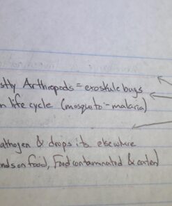 iBayam Journal Planner Pens Colored Pens Fine Point Markers Fine Tip Drawing Pens Fineliner Pen for Bullet Journaling Writing Note Taking Calendar Coloring Art Office School Supplies, 18-Pack Multicolor 42 71LCzYmTv2L