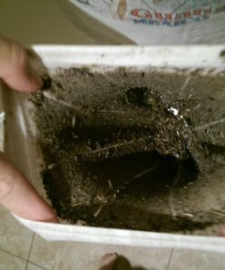 Pool Systems USA 5 Piece Filter Savers, Skimmer Socks 1 16 71LDTgOEEgL